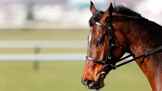 Douvan - BoyleSports Tied Cottage Chase (2017)