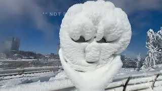02-02-2026 Niagara Falls NY - Frozen Winter Wonderland