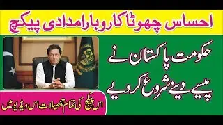 Ehsaas Chota Karobar imdadi Package | Electricity Bill relief | Govt Announces Chhota Karobar