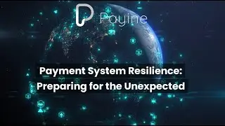 Payment System Resilience: Preparing for the Unexpected