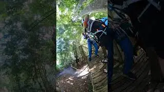 Ziplining in St. Lucia 2025