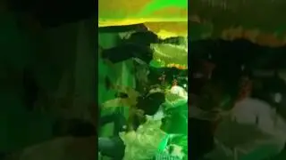 Wedding dance kukarmunda sonu &tejas