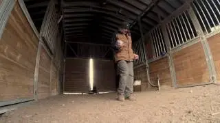 Brian Agnew The Balanced Dog Starting Prince a high prey drive on tracking