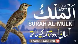 Surah Al Mulk with Urdu & Hindi Translation | Beautiful Quranic Recitation | سورة الملك منصورغزنوی