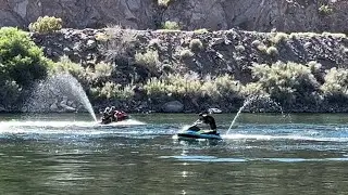 What Davis Camp Park in Bullhead City,Arizona has to offer to enjoyment seekers?
