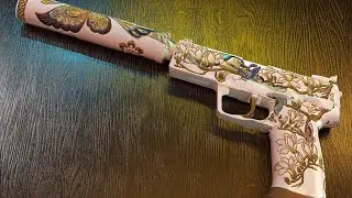 The CS2 skin I created   USP - 翩