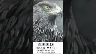 Gururlan (enstr&uuml;mantal)🖤🤍🦅 #beşiktaş #gururlan #1903 #karakartal #enstr&uuml;mantal #marşlar