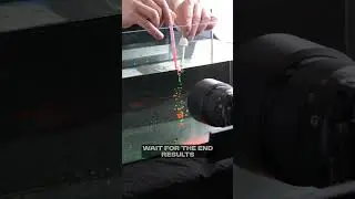 Macro Ink Clouds Footage