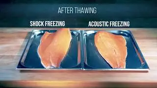 SHOCK & AEF freezing by ABAT - FISH, SHRIMPS, SEAFOOD
