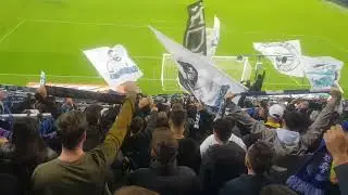 Universitatea Craiova Fcu Craiova 04.11.2023 Peluza Nord💙Forza Știința!💙