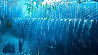 Deep Sleep Rain Ambience with Thunder | Heavy Tin Roof Rain for Stress Relief, Study & Meditation