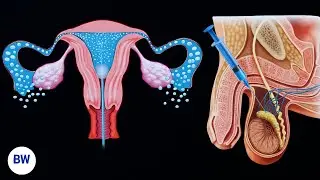 Fertility Tests Explained: Male & Female Red Flags, & Timelines (NHS Fertility Doctor)