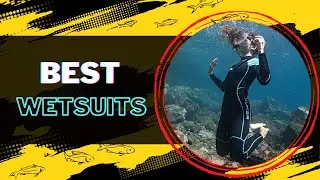 Top 10 Best wetsuits Review | stay warm and protected in any season.