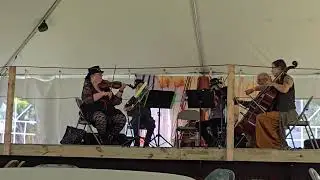 An der sch&ouml;nen blauen Donau - Johann Strauss II 1-End: Heart Strings Of The Ashtabula Arts Center