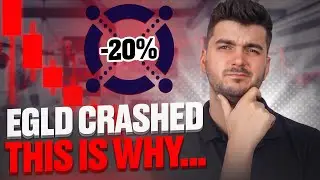EGLD Crashed! I Will MultiversX coin enter a DOWNTREND?