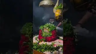 21 July Sawan Second Somvar 🔱🙏🏻l second sawan somvar status l #sawan #trendingshorts #shorts #status
