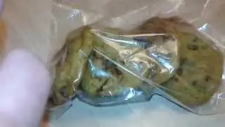 The Riviera Hotel & Casino Las Vegas 2015 - Skunk Vegas Adventures Checked in W\ Medicated Cookies