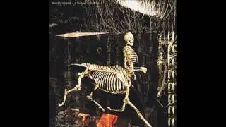 boxguts & vice versa: Canopic Jars Vol. 0