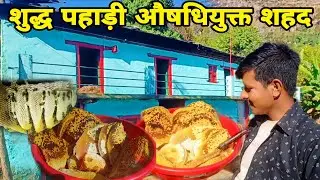 कार्तिक माह का शहद होता है औषधियुक्त | himalaya Honey | hlw to check pure honey | Depak Mehra Vlogs 