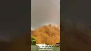 Reducing Arizona dust-storm intensity | #shorts