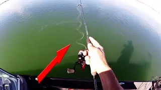 EXTRA Sensitive NANO TECHNOLOGY in FISHING RODS (IM9 Blank) - KastKing