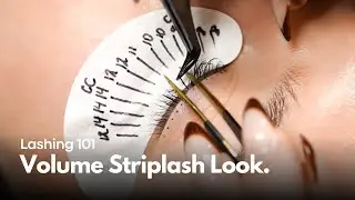 Lashing 101: Eyelash Extension Styling, Mapping and Assessment / Creating a Volume Strip Lash Look