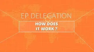 EP delegations, actors with a global reach