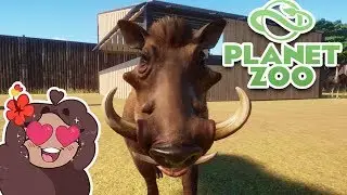 Wild About WARTHOGS!! 🦒 Planet Zoo BETA &bull; #19