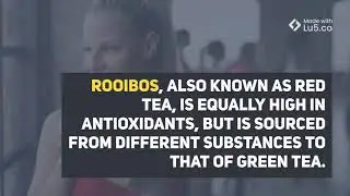 The Red Tea Detox  Rooibos E-book