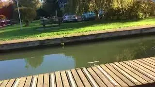 Narrow Boat Carpet Cleaning - RC Professional Cleaning Services