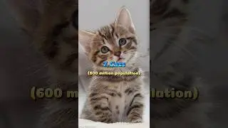 Top 10 Population Animal In The World #animals #cat #dog