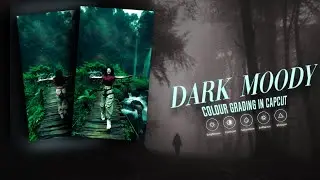Instagram Trending DARK Color Grading in Mobile | Capcut | Beginners Tutorial