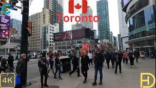 Walking Tour Toronto Dundas Street W 4K | Virtual Tour Downtown Dundas St. W Toronto Canada