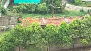 একটি স্থানের গাছপালায় আবৃত পটভূমি