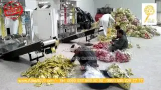 Corn chips volumetric dual head packaging and filling machines
