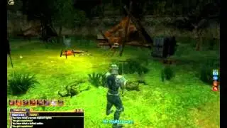 EQ2 Paladin demo