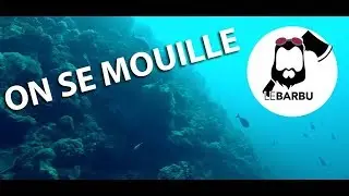 BARBU HORS SUJET #01 La Mer Rouge