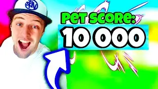 ZÍSKAL JSEM 10 000 PET SCORE A OTEVŘEL NOVOU LOKACI!🤩 | Collect All Pets