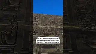 Kom Ombo Temple &ndash; Ancient Egypt&rsquo;s Advanced Medical Knowledge 🏺 oscardelacruz