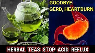 Stop ACID REFLUX NATURALLY With This 7 Herbal Teas | All Natural