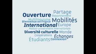 Être étudiant international à l'Université de Strasbourg
