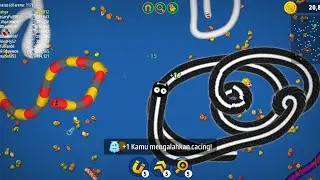 Worms Zone Chaos! The Crazy Worm That Never Stops Eating