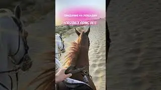 Намекаю прямым текстом 😂
