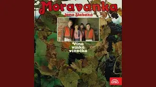 Ty kelčanské vinohrady