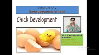B.Sc. III. Embryology, Introduction of Fowl egg, cleavage, Blastula , Fate map
