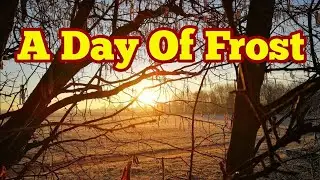 Morning Walk In Day Of Frost/ No Dig Organic Natural Allotment Garden