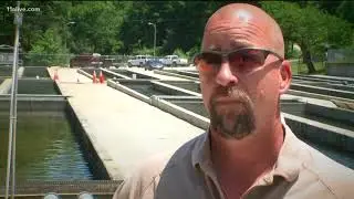 More than 50K trout killed at Chattahoochee Fish Hatchery