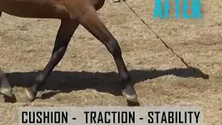 Before and After Adding TruTex Footing Fibers to Outdoor Arena