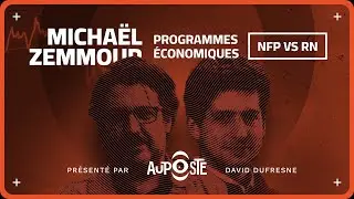 Micha&euml;l Zemmour: &laquo;La gauche dit &ldquo;on r&eacute;oriente&rdquo;, le RN dit &ldquo;on continue&rdquo;, le racisme en plus&raquo;