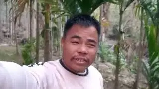 Songtangosa 